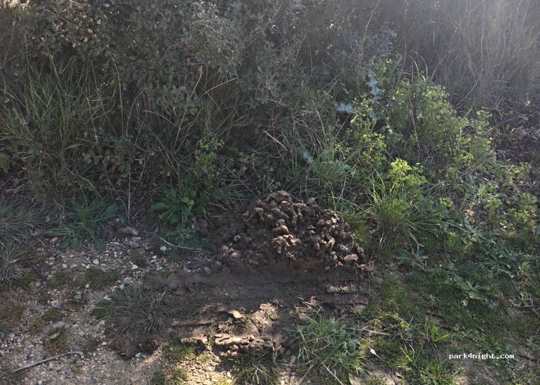 (13520) Paradou - Unnamed Road — foto 4