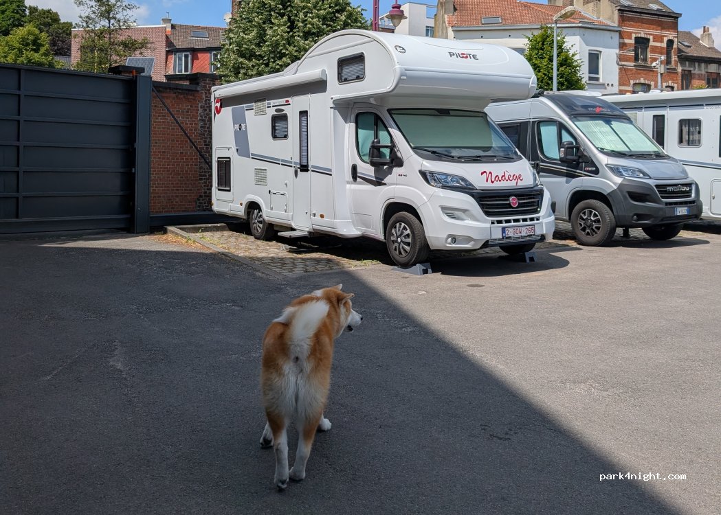 (1080) Sint-Jans-Molenbeek - 1 Rue de l'Eléphant — foto 5