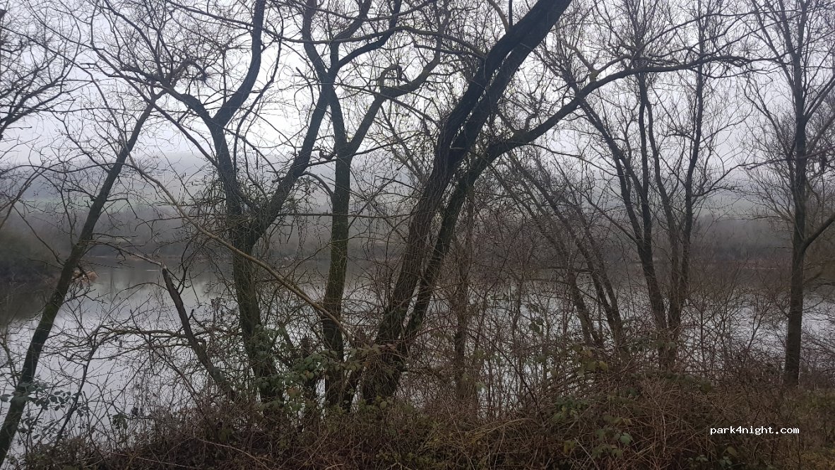 (54530) Pagny-sur-Moselle - Chemin des Étangs — foto 2