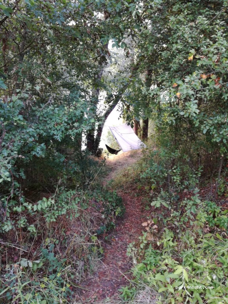 (54530) Pagny-sur-Moselle - Chemin des Étangs — foto 3