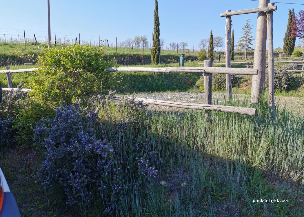 Podere Santa Clorinda - campeggio in Toscana — foto 4