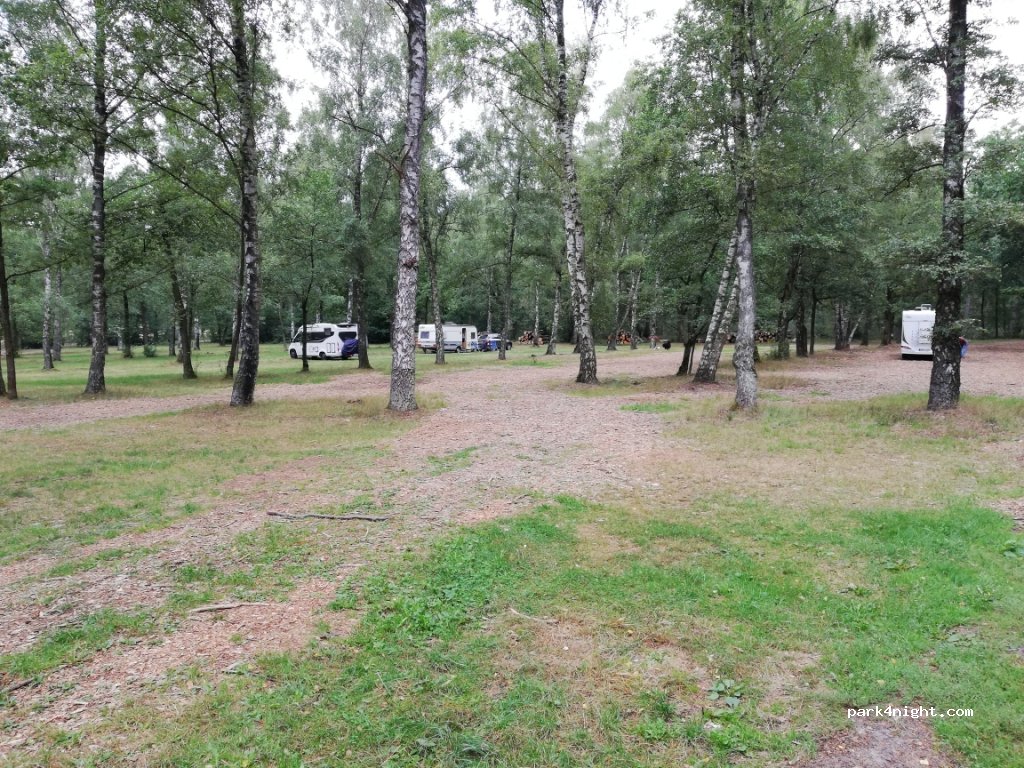 (29646) Bispingen - 8A Niederhaverbeck — foto 2