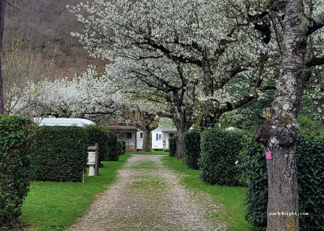 Camping Saint Martin — foto 2