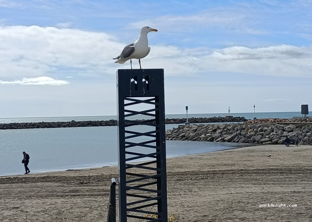 (34200) Sète - 66 Corniche de Neuburg — foto