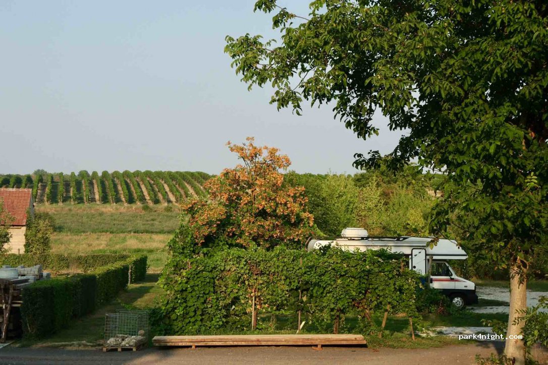 Leonhard Hupper Weingut — foto