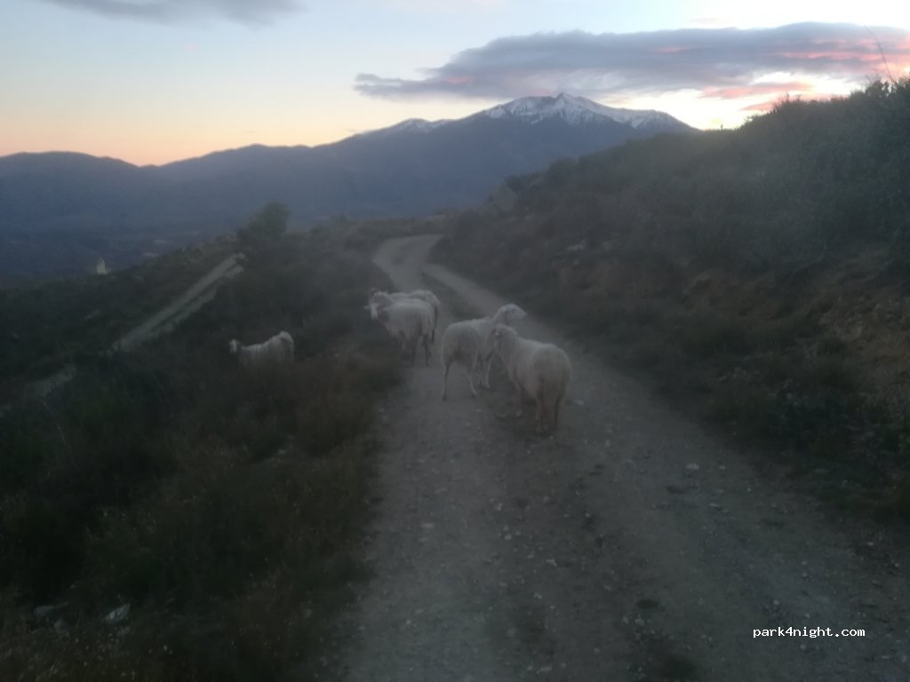 (66500) Eus - Unnamed Road — foto