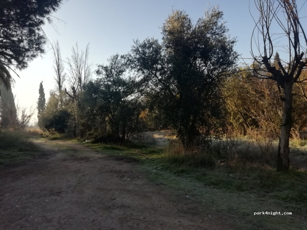 (45515) Maqueda - 50 Carretera Ávila — foto 2