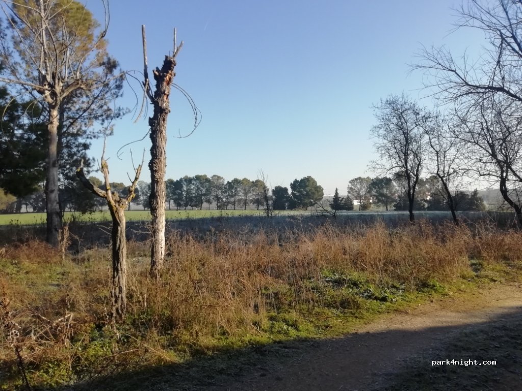 (45515) Maqueda - 50 Carretera Ávila — foto 3