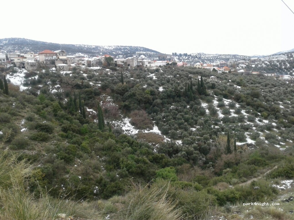 (270 56) Nea Figalia - Unnamed Road — foto 2