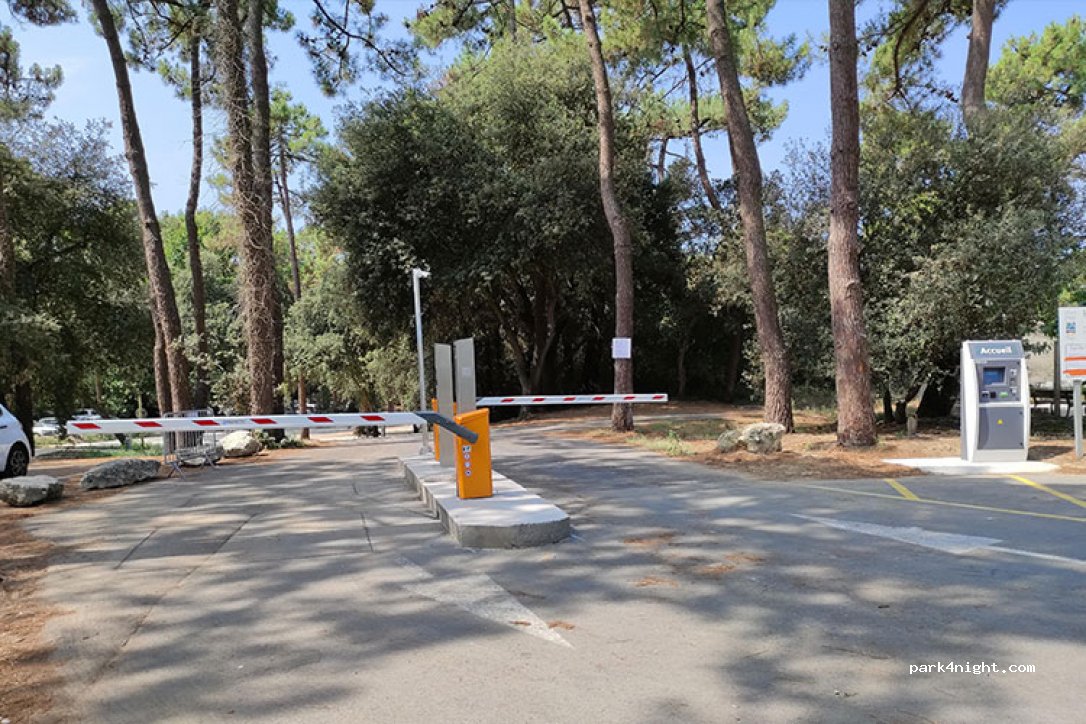(17370) Le Grand-Village-Plage - 6 Allée des Pins — foto 3