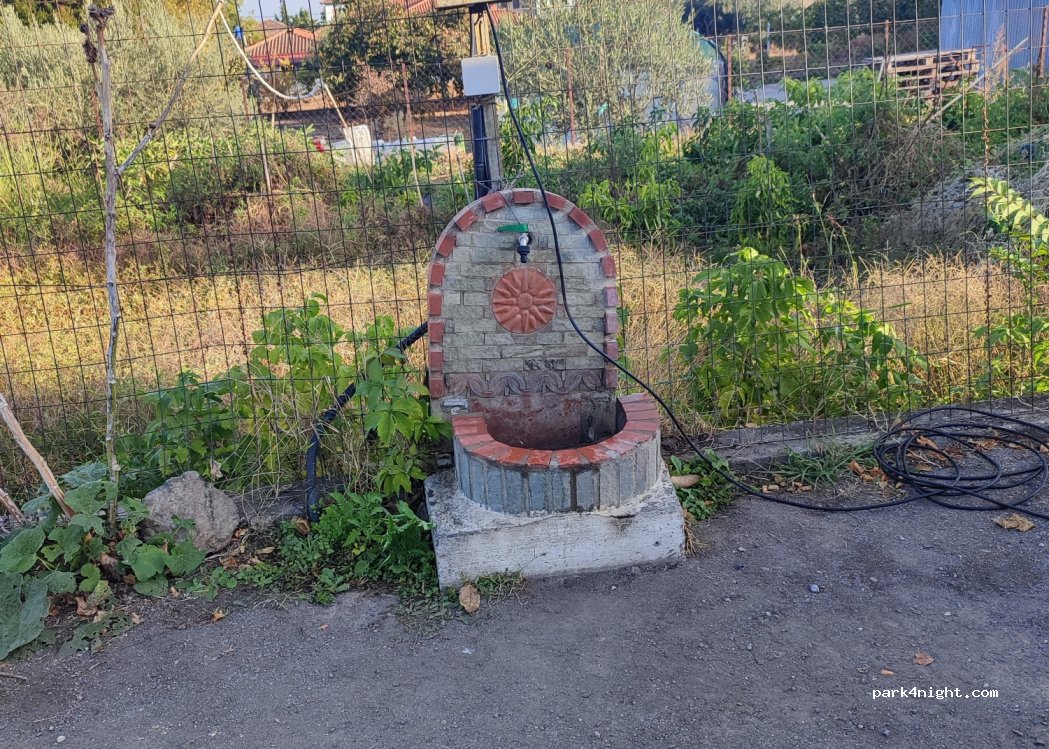 (590 31) Βεργίνα - 25 Αριστοτέλους — foto 5