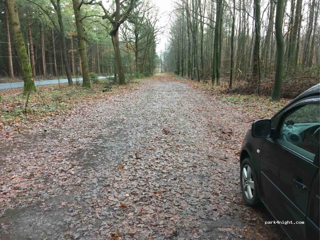 (26446) Friedeburg - Hopelser Straße — foto