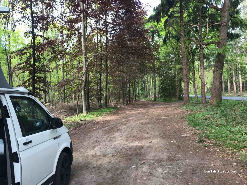 (26446) Friedeburg - Hopelser Straße — foto 4