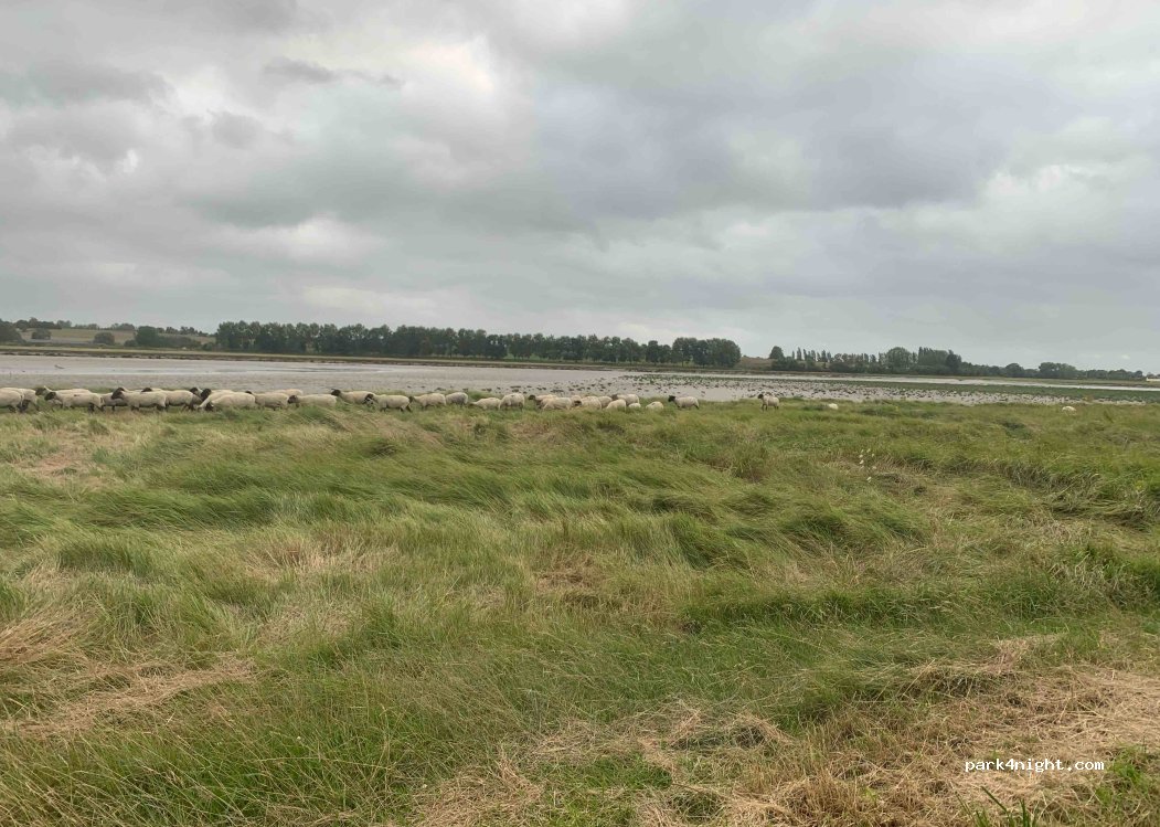 (50300) Le Val-Saint-Père - 4 Flaget — foto 3