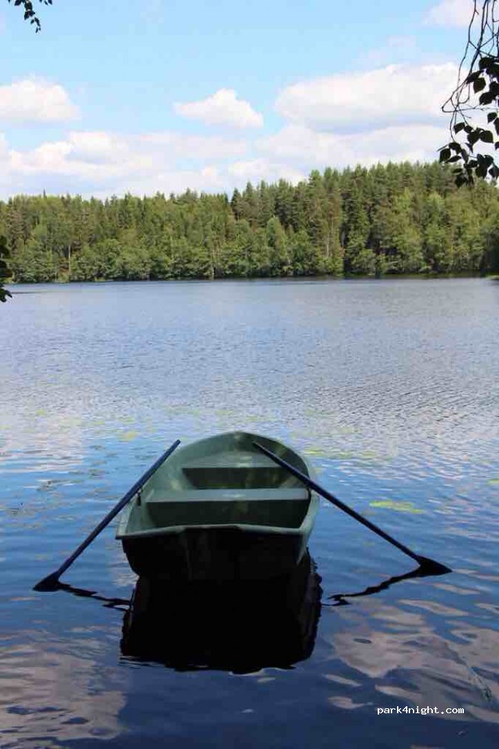(188838) Leningradskaya oblast' - 41A-085 — foto