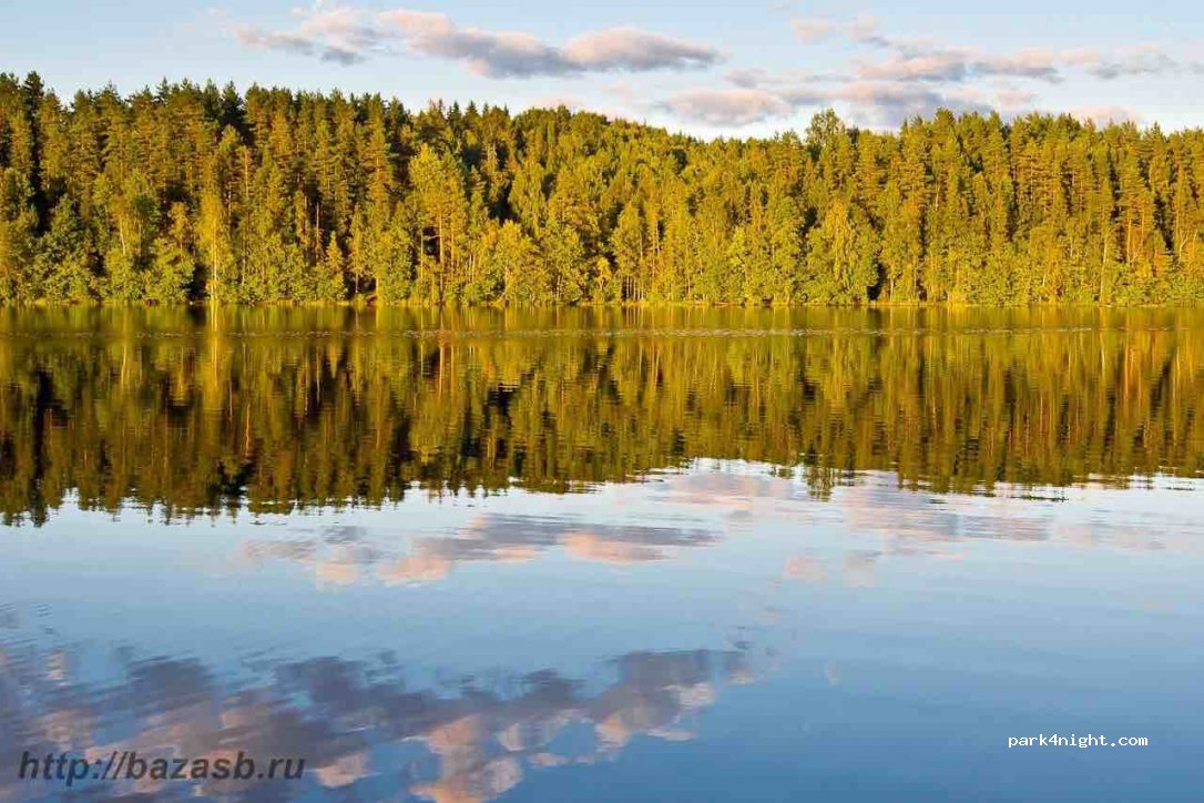 (188838) Leningradskaya oblast' - 41A-085 — foto 2