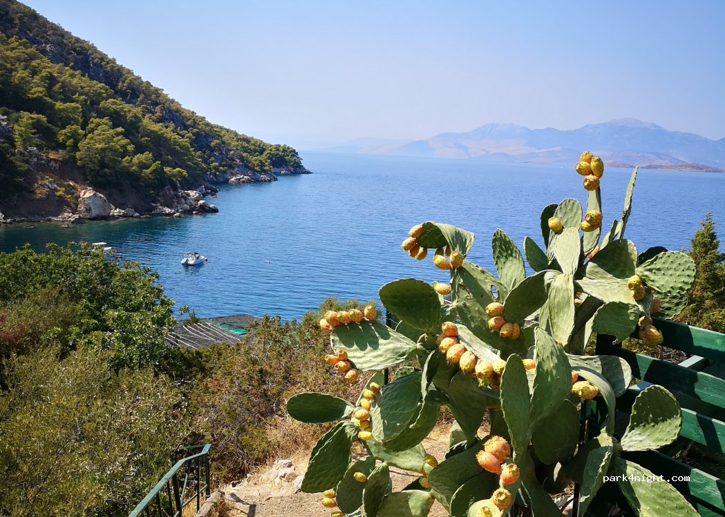 Camping Alkioni Holidays — foto 5