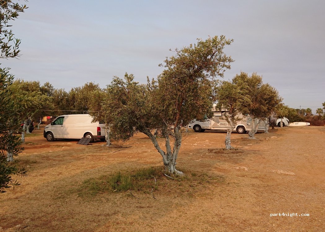 Taverna Oasis — foto 2
