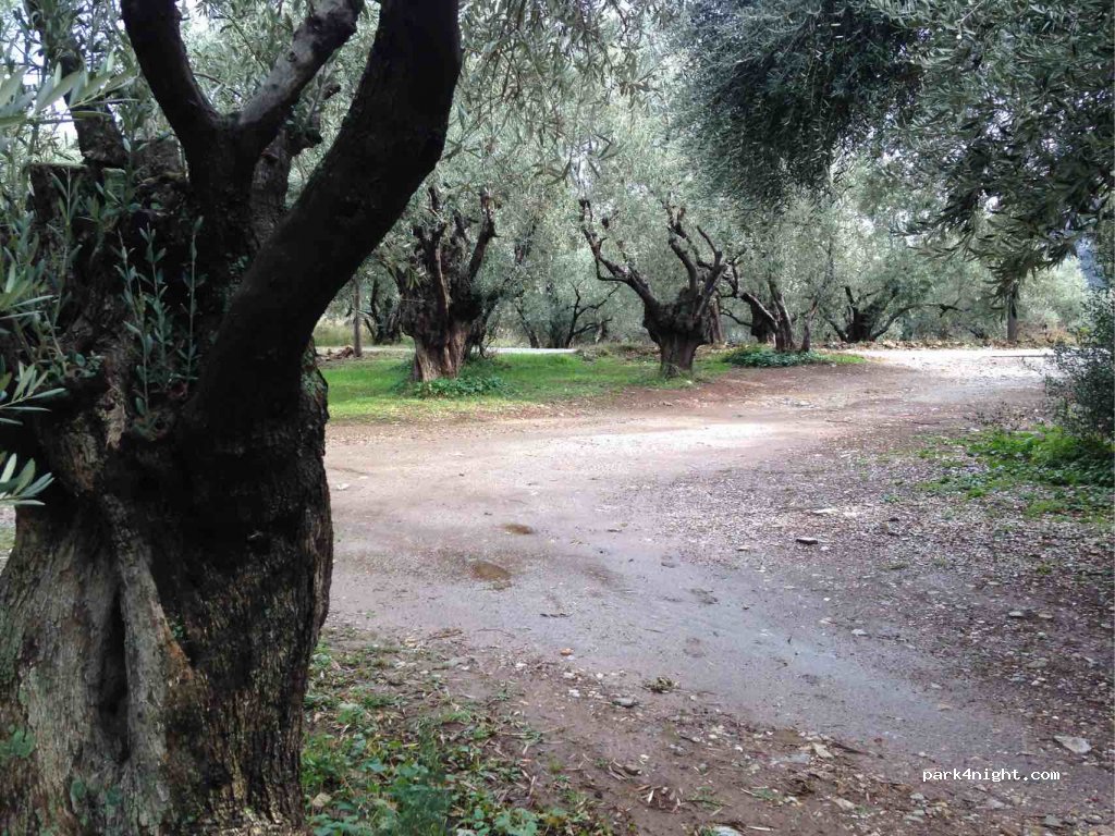 (370 12) Ntamouchari - Eparchiaki Odos Mouresiou-Agio Ioanni — foto 3