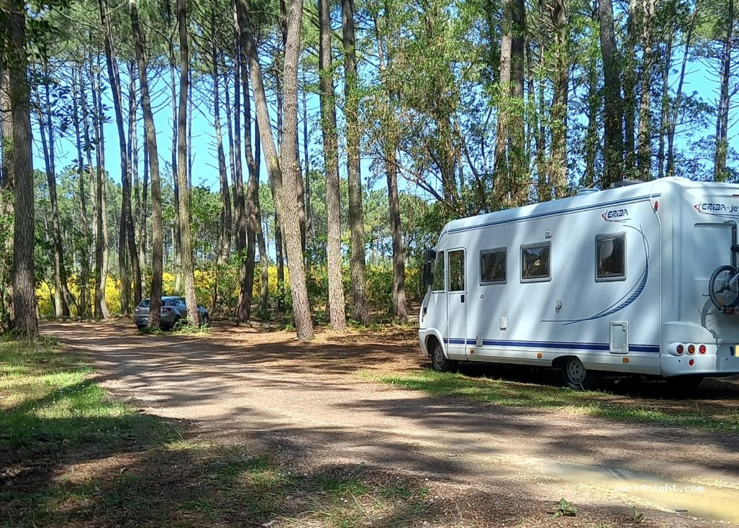 (33950) Lège-Cap-Ferret - Avenue du Truc Vert — foto 3