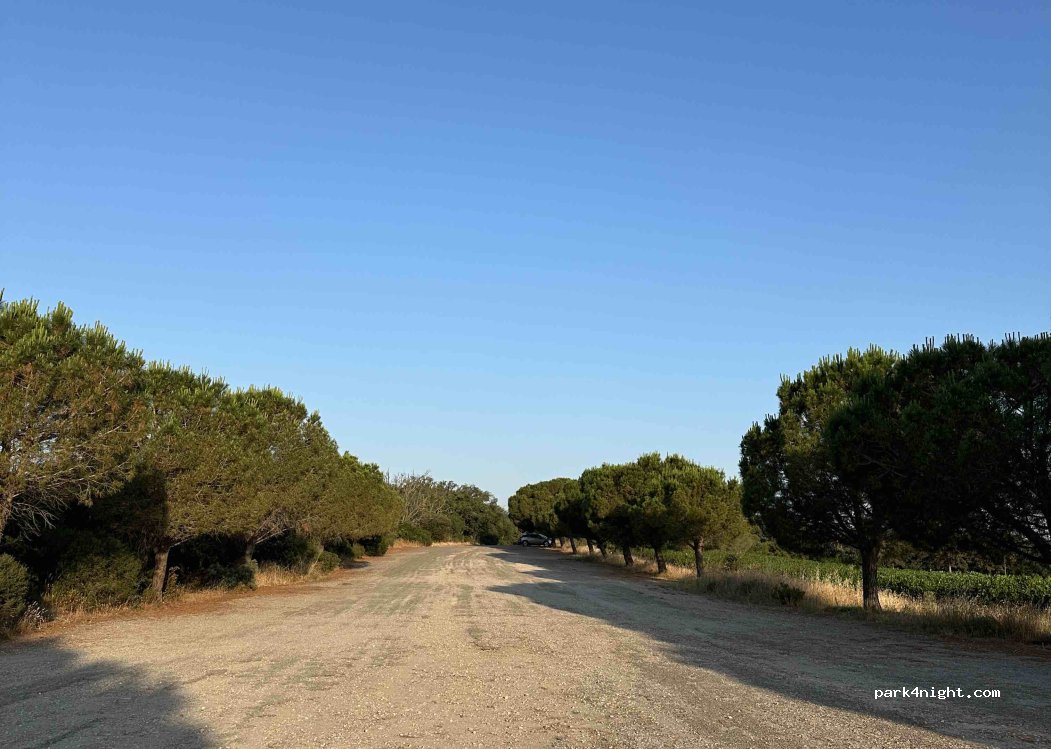 (34500) Béziers - Chemin Rural 56 — foto 5