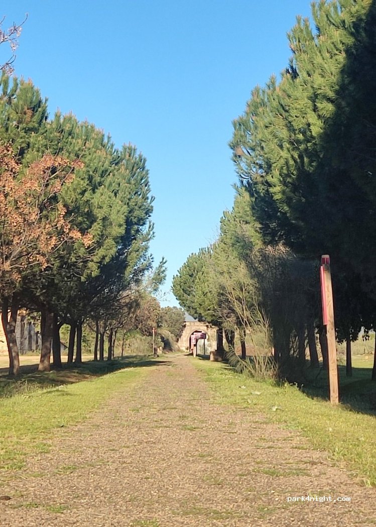 (10120) Logrosán - Avenida de la Constitución — foto 3