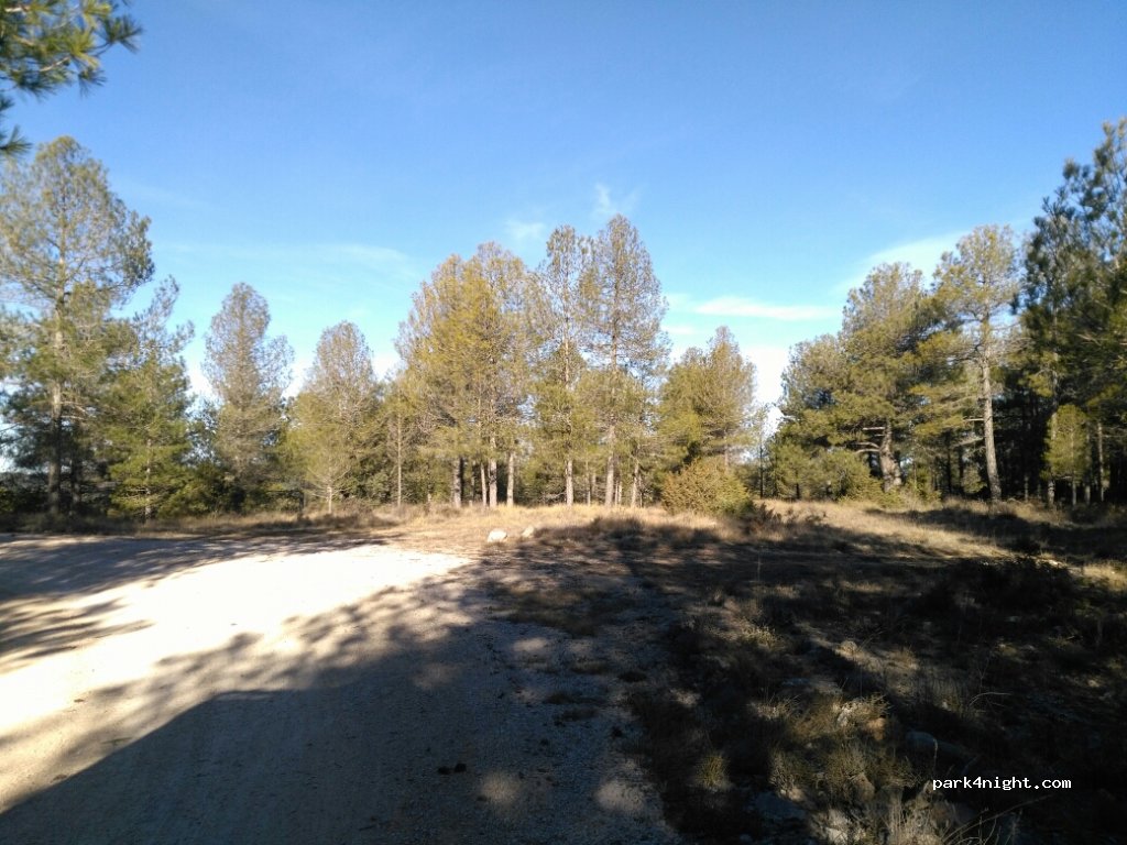(16370) San Martín de Boniches - Vereda del Alto de la Madre — foto