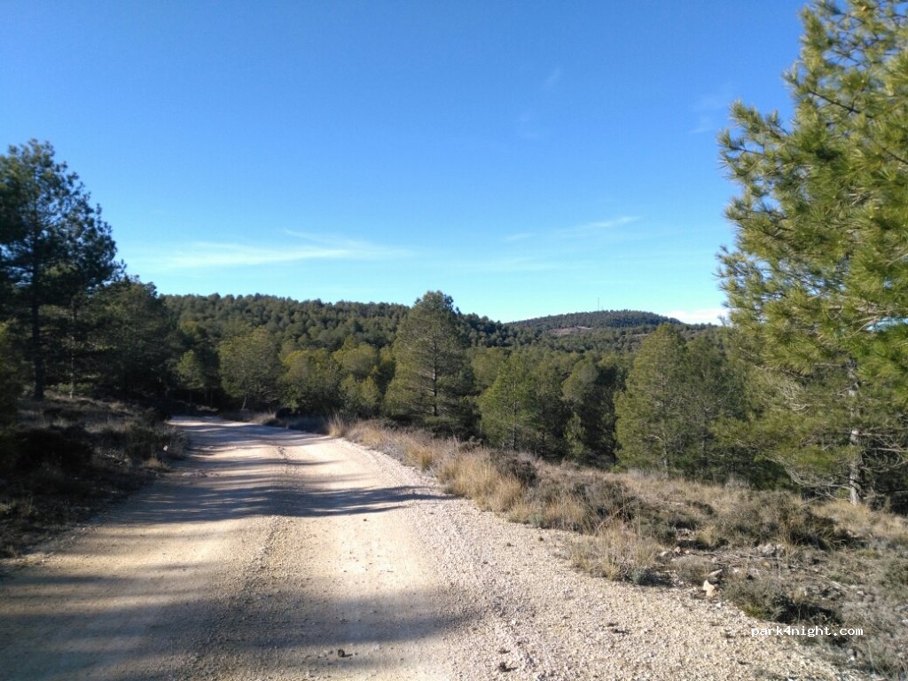 (16370) San Martín de Boniches - Vereda del Alto de la Madre — foto 2