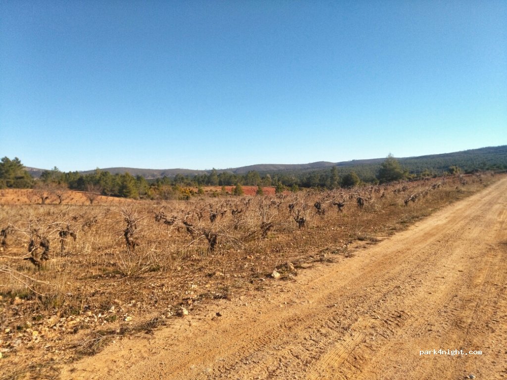 (46351) Chelva - Unnamed Road — foto 2