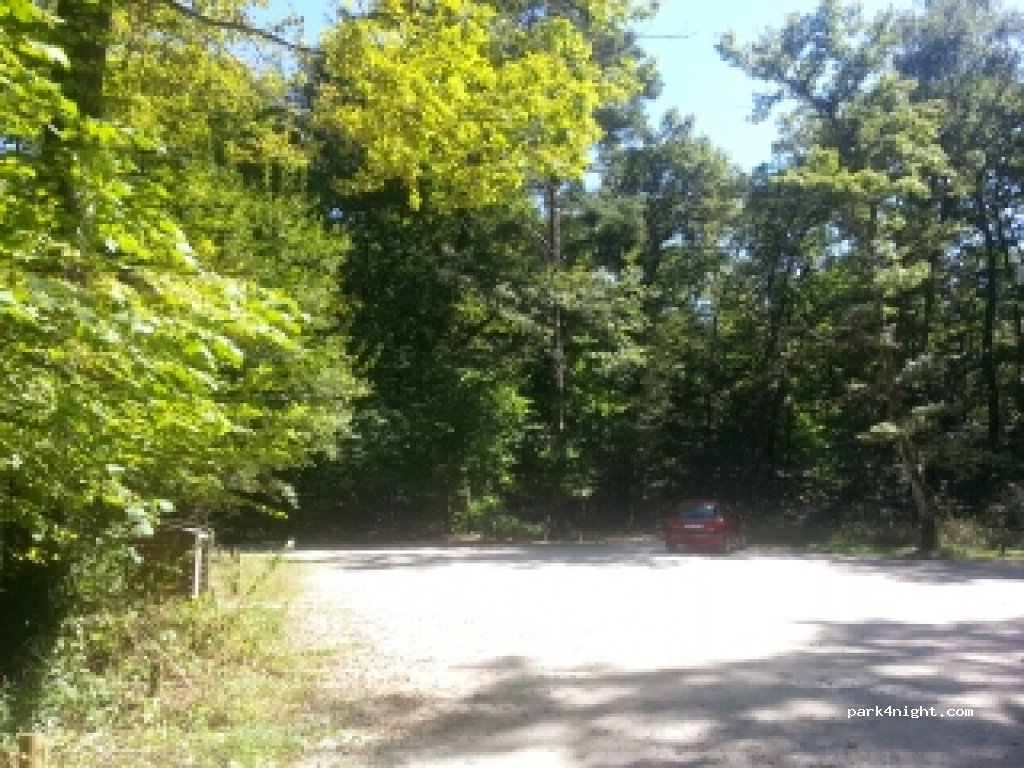 (39100) Dole - Route Forestière de Grand Contour — foto