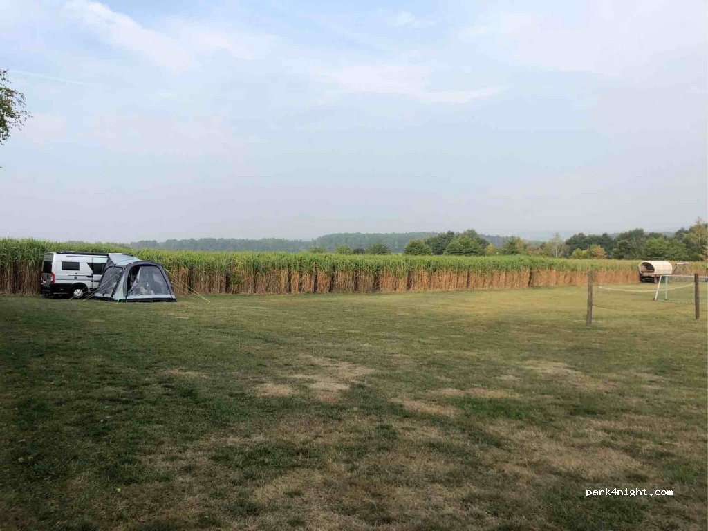 (55469) Holzbach - L162 — foto