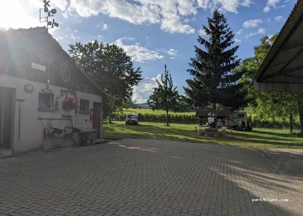 Meyer Patrick — foto 2