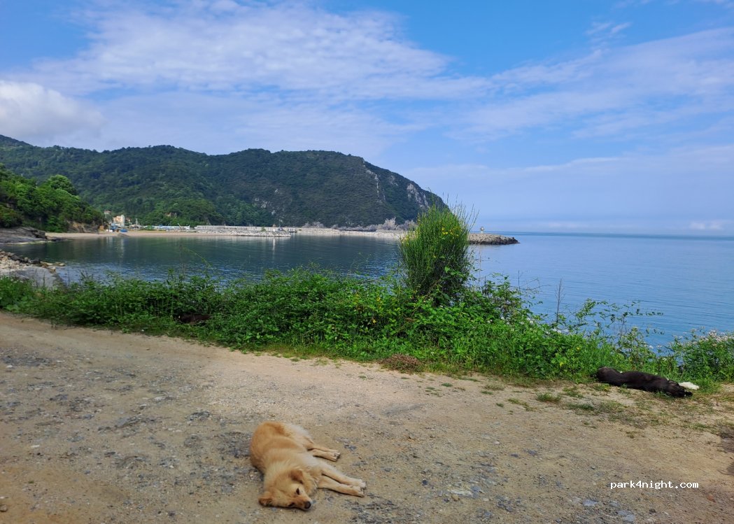 (74310) Tarlaağzı - Unnamed Road — foto 3