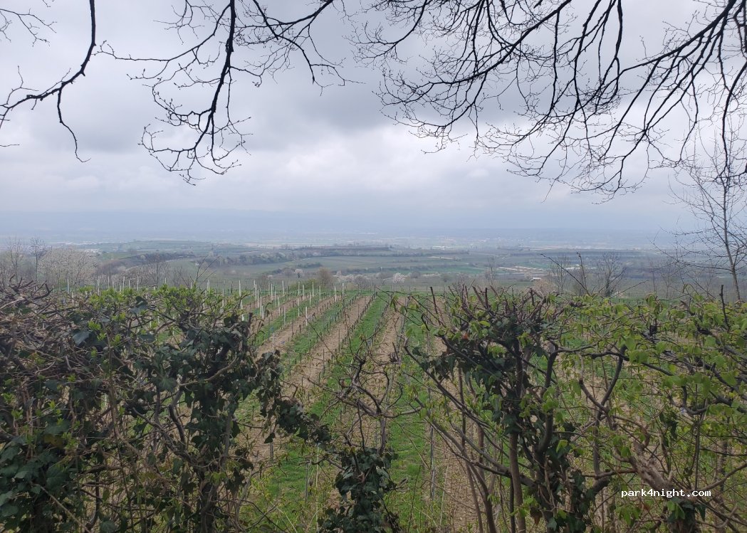 (79356) Eichstetten am Kaiserstuhl - Unnamed Road — foto 2