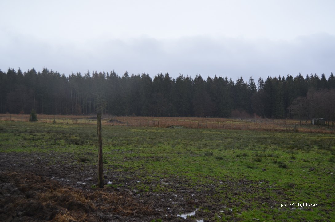 (4700) Eupen - Ternell 2 Monschauer Straße — foto 2