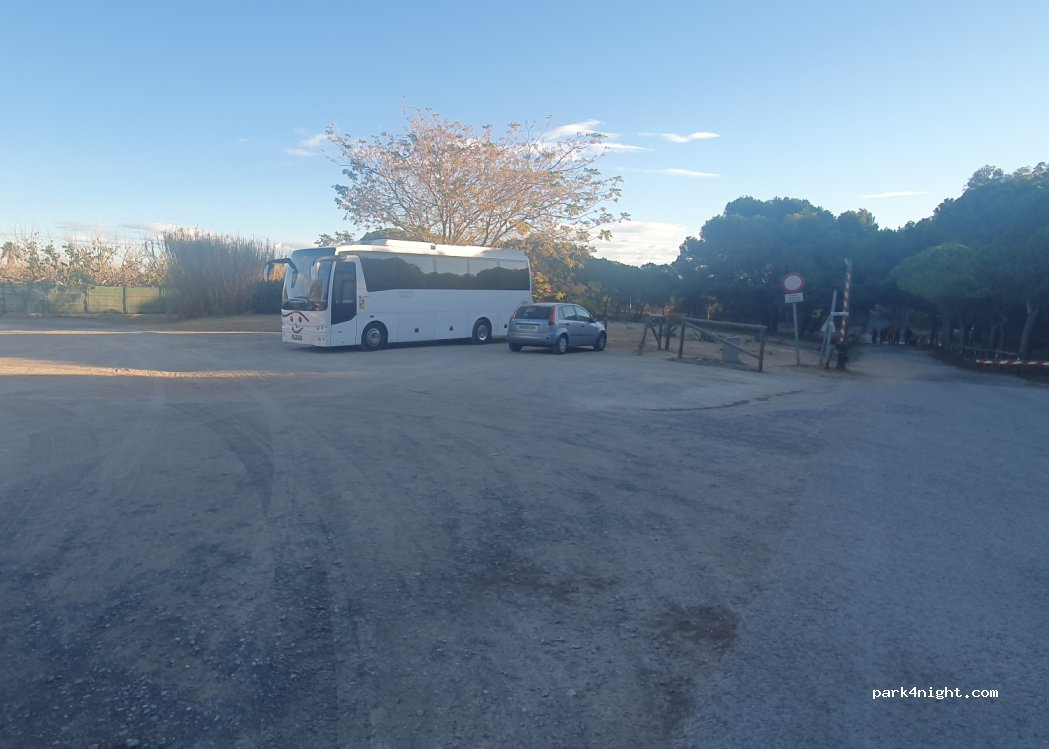 (03194) Guardamar del Segura - 11 Urbanización Costa Bella-la Marina — foto 2