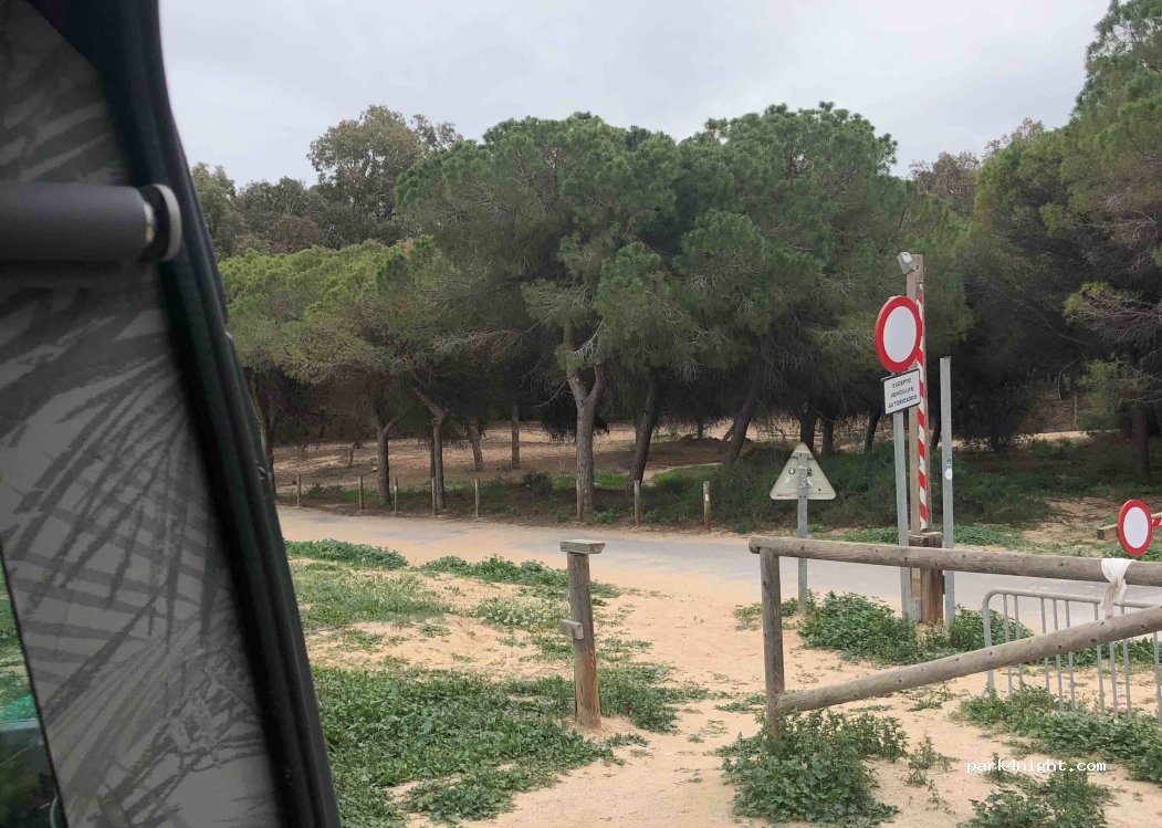 (03194) Guardamar del Segura - 11 Urbanización Costa Bella-la Marina — foto 3