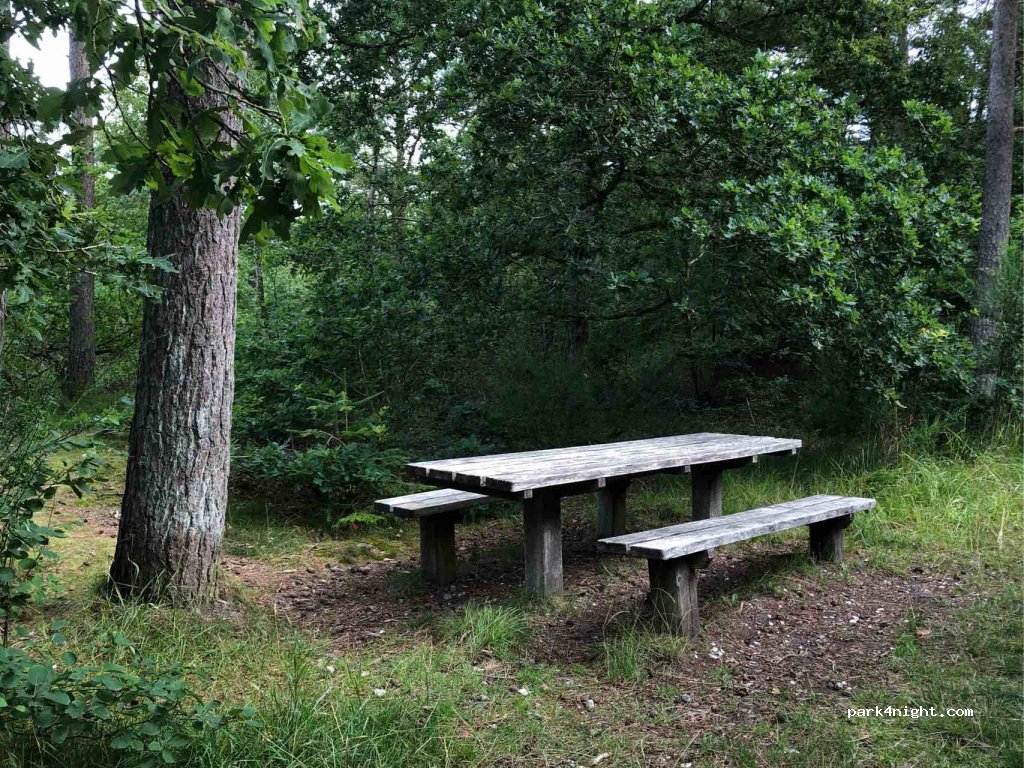 (7700) Thisted - Egebaksandevej — foto 2