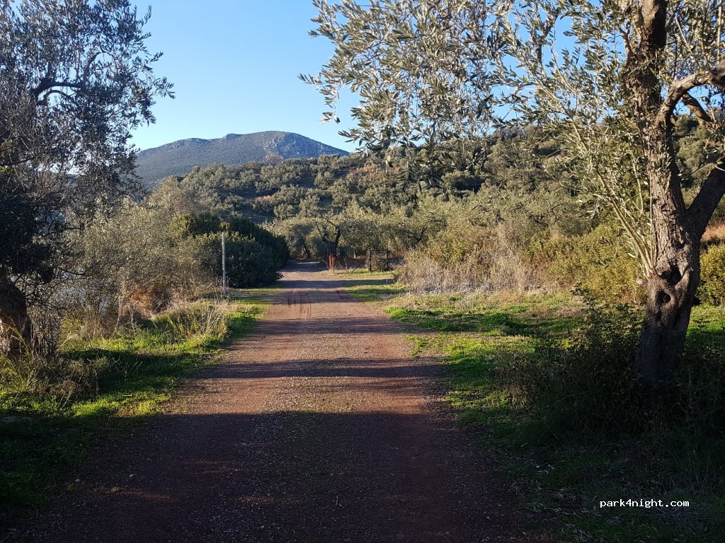 (350 13) Glifa - Eparchiaki Odos Milon-Glifon — foto 2