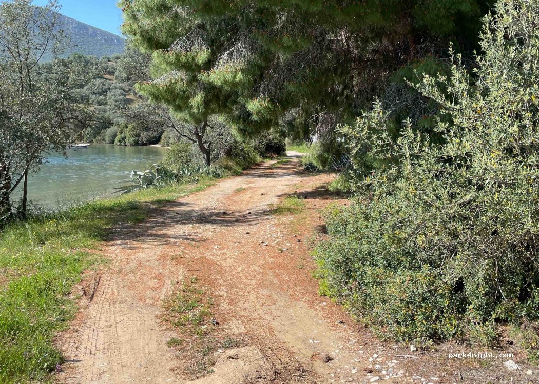 (350 13) Glifa - Eparchiaki Odos Milon-Glifon — foto 3