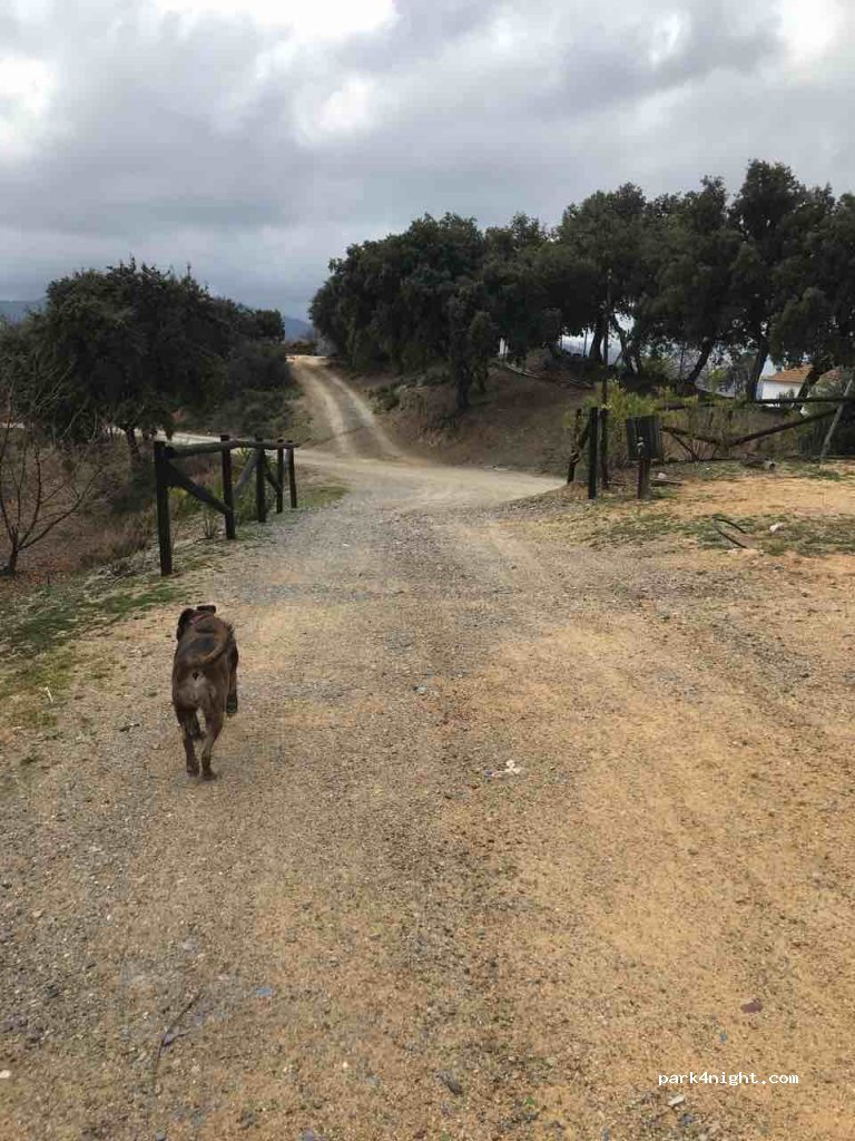 (29452) Cartajima - Camino del Helechar — foto 2
