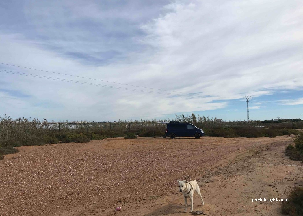 (03186) Torrevieja - Calle Ercina — foto 3