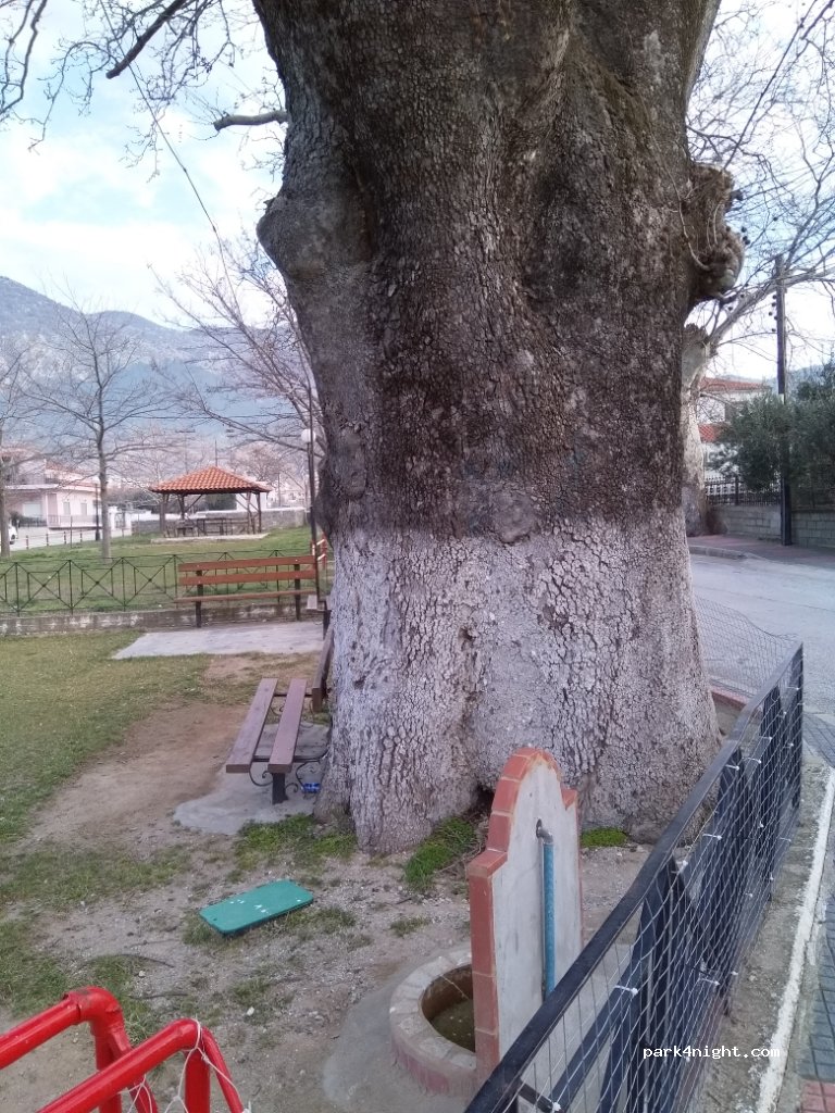 (671 00) Lefkopetra - Unnamed Road — foto 3