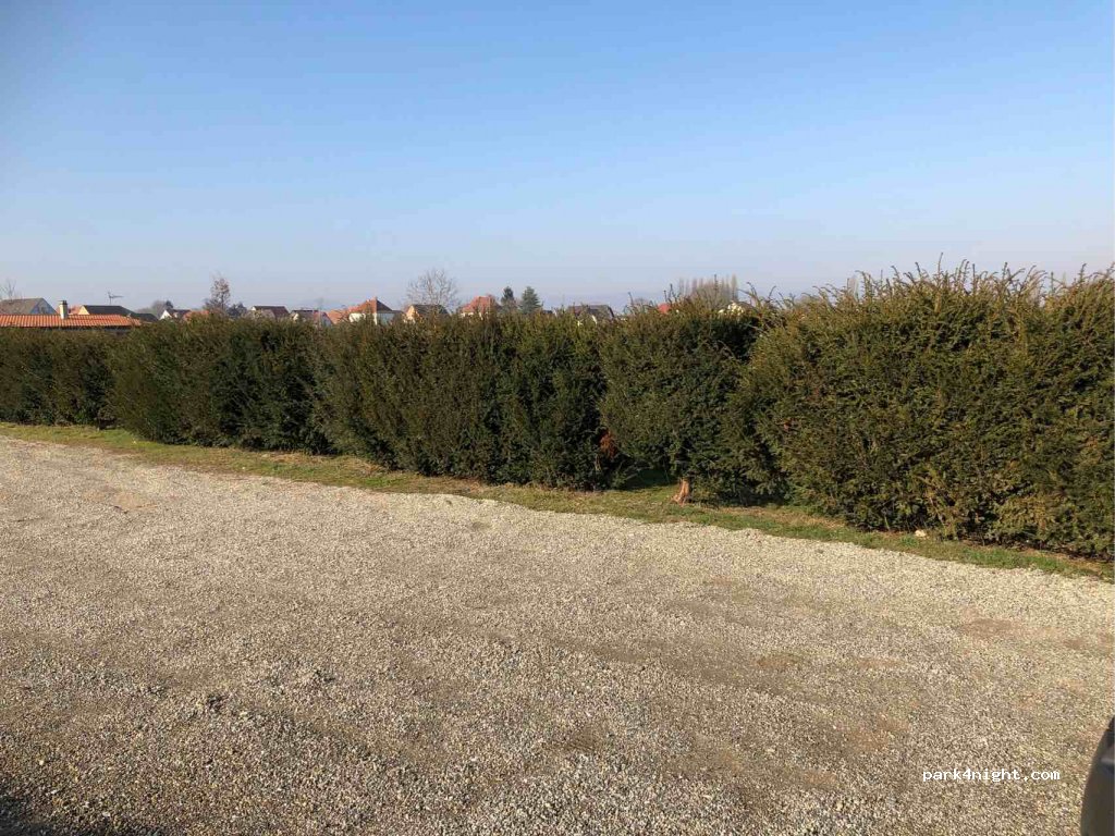 (67150) Matzenheim - 41 Rue d'Erstein — foto
