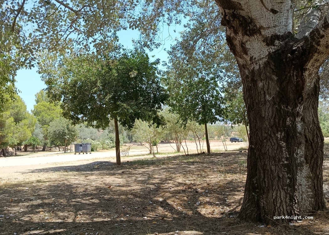 (29710) Periana - Unnamed Road — foto 5