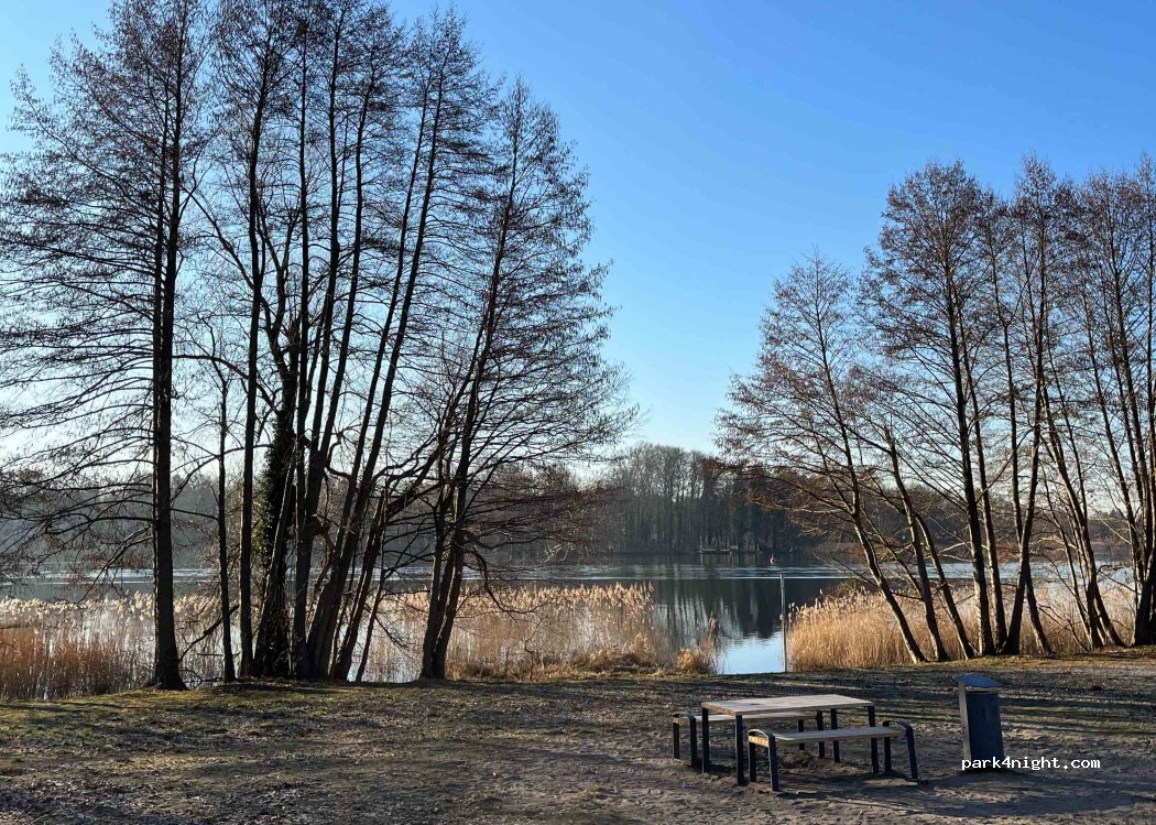 (16515) Oranienburg - 8 Mainzer Straße — foto 5