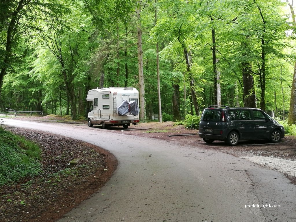 (52290) Éclaron-Braucourt-Sainte-Livière - Forêt du Der la Cornée — foto