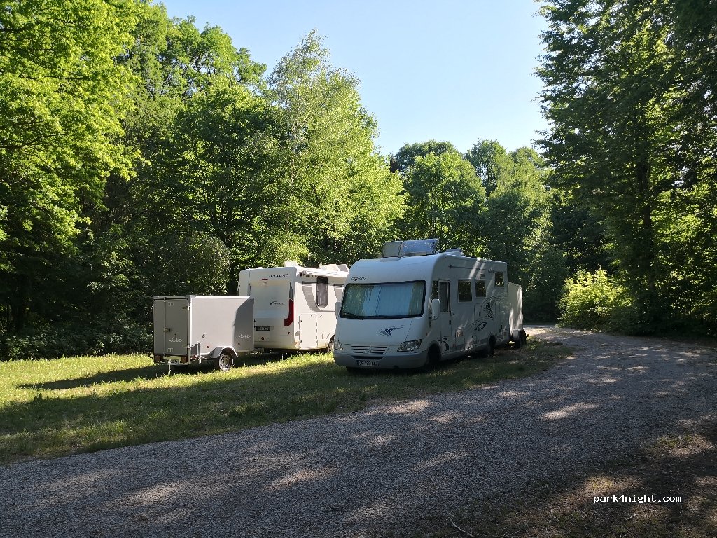 (52290) Éclaron-Braucourt-Sainte-Livière - Forêt du Der la Cornée — foto 3