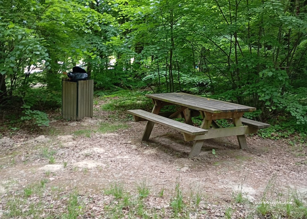 (52290) Éclaron-Braucourt-Sainte-Livière - Forêt du Der la Cornée — foto 4