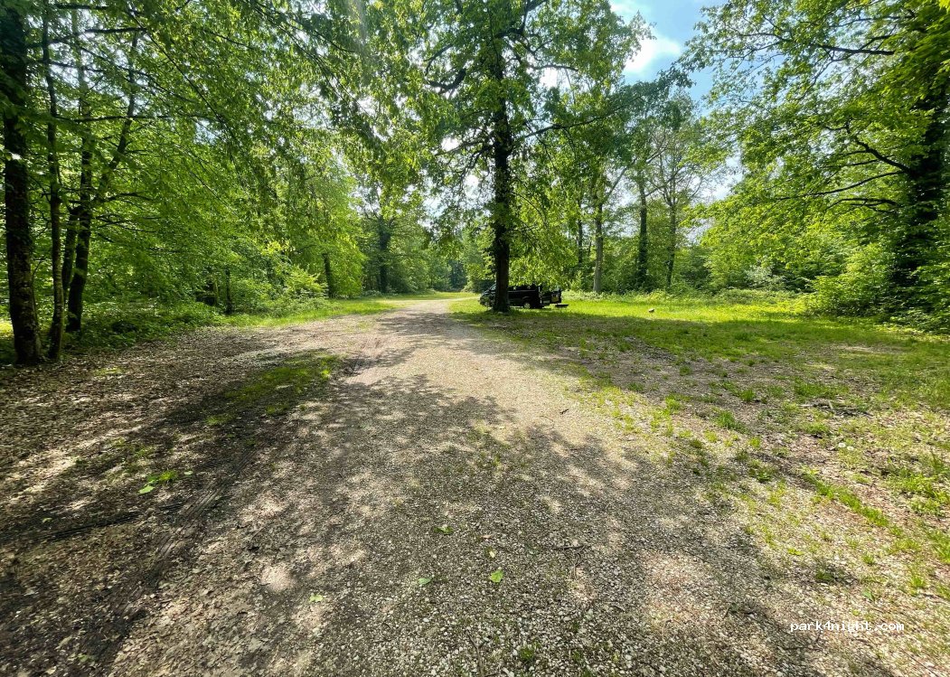 (52290) Éclaron-Braucourt-Sainte-Livière - Forêt du Der la Cornée — foto 5